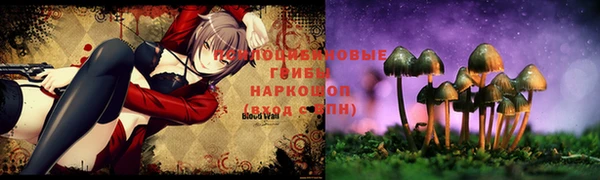 таблы Богородицк