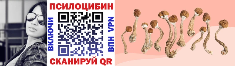Галлюциногенные грибы прущие грибы Комсомольск